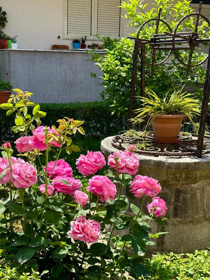 شقة Js House Shkoder 1 المظهر الخارجي الصورة